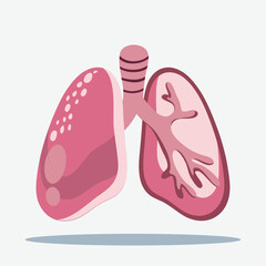 Stylized illustration of human lungs showing external and internal anatomy with bronchioles.