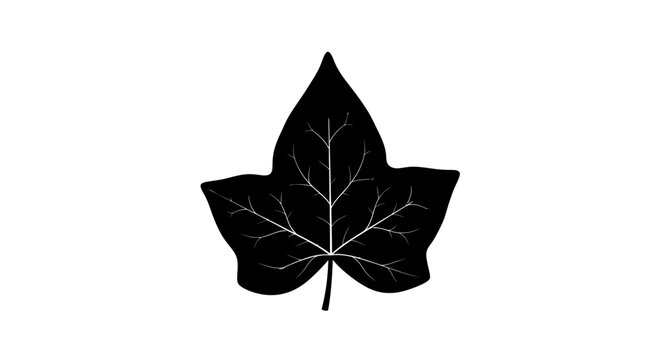 Black silhouette of a single ivy leaf with detailed veins.