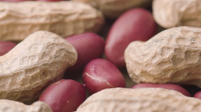 Closeup view of fresh peanuts on wooden table. Macro shot