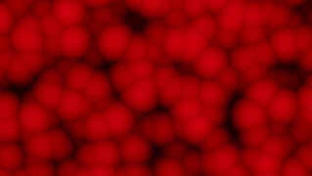Abstract red blood cells or lava animation. Microscopic biological organic pattern loop.
