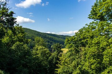 Scenic summer landscape view of rolling green hills and dense forest under a blue sky with white clouds