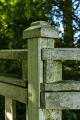 Naklejka premium Close-up of a weathered wooden bridge railing post covered with green moss and lichen in a sunny park