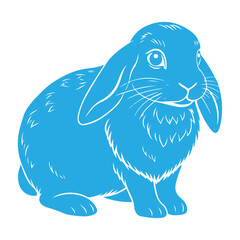 Fototapeta premium rabbit