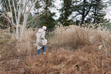Obraz premium Winter, person in a warm coat walks through tall dry grasses in an open natural landscape, surrounded by trees, creating a quiet, contemplative outdoor scene.