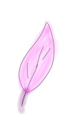 pink nail polish isolated on white