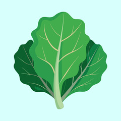 Illustration of vibrant green chard leaves against a light blue background