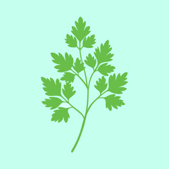 Stylized parsley sprig illustration on a light green background for design