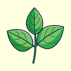 vector illustration of basil leaves