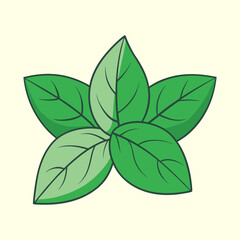vector illustration of basil leaves