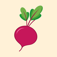 vector illustration of beetroot