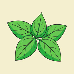 vector illustration of basil leaves