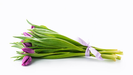 Bouquet of purple tulips on white