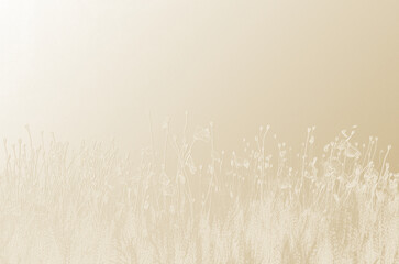 Minimalist Embossed Floral Meadow.