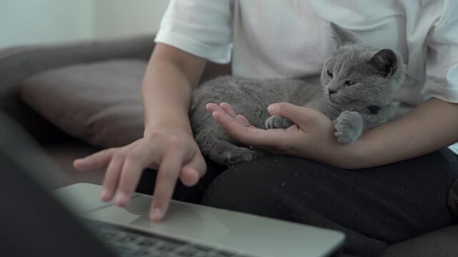 A woman works at a computer with a kitten sleeping beside her.