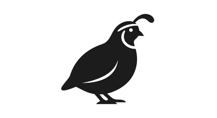 Fototapeta premium Black Silhouette of Quail Bird Standing.