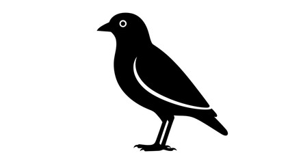 Obraz premium Black Bird Silhouette Standing on Ground.