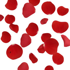 Scattered Red Rose Petals Floating on White Background