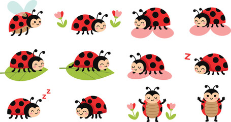 Fototapeta premium Cute Ladybug Cartoon Character Vector Set with Sleeping Walking and Funny Poses