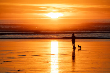 Fototapeta premium Silhouette of a person with a dog at sunset on Cannon Beach, Oregon with golden reflections on wet sand and Pacific Ocean waves creating a calm coastal lifestyle scene.
