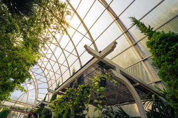 public garden of greenhouse, glass roof of the building
