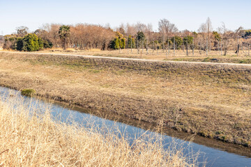 神奈川県中部を流れる目久尻川周辺の風景