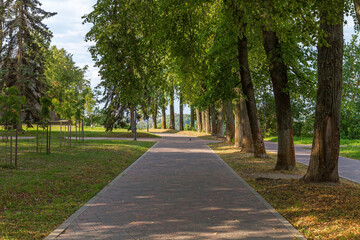 Obraz premium Quiet paved walkway in a city park under tall trees with lush green leaves and warm sunlight. Peaceful outdoor nature scene for walking, relaxation and travel.