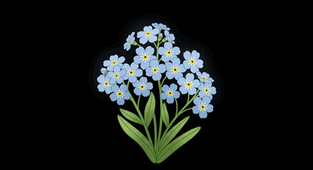 A charming cluster of delicate blue forget-me-not flowers against a stark black backdrop