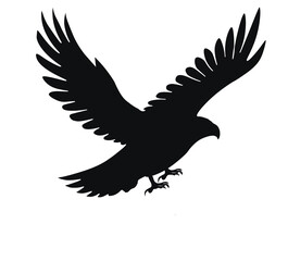 Fototapeta premium bird, eagle, silhouette, vector, png, eagle png, pigeon
