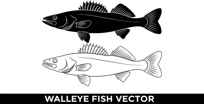 Walleye fish vector illustration set featuring detailed black silhouette and outline icons isolated on white background for fishing tournament logos and outdoor sporting gear designs