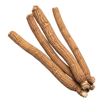 Dried licorice root sticks isolated on white background isolated on transparent background