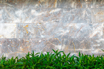 Natural stone wall with green foliage at the base
