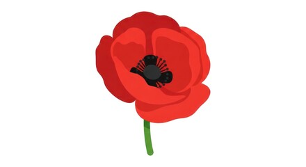 Obraz premium Vibrant illustration of a single red flower on a white background.
