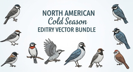 North American Cold Season Birds Vector Bundle Illustration. © Dolar