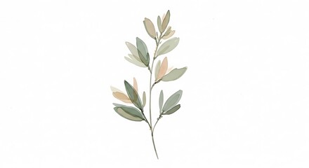 Fototapeta premium Watercolor Painting of a Single Stem with Leaves and Blossoms on White Background