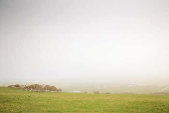 Mist Over Open Grassland Landscape With Distant Trees And Soft Horizon