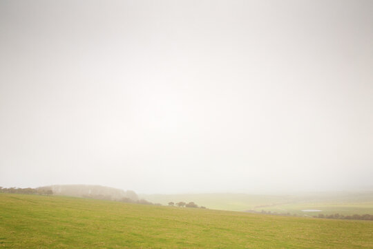 Mist Over Open Grassland Landscape With Distant Trees And Soft Horizon