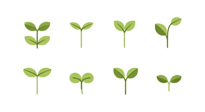 Collection of Green Seedlings with Leaves.