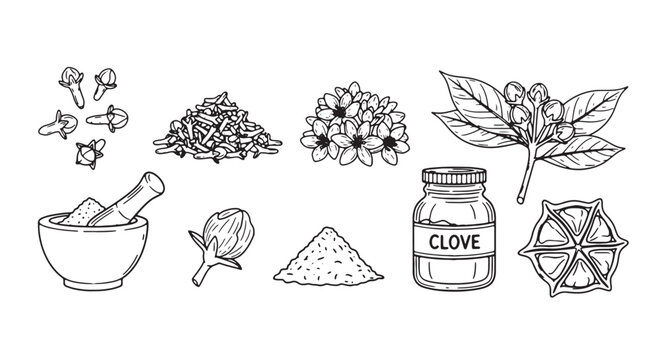 Herbal spice icons set, including cloves, mortar, and various botanicals, for culinary or wellness design