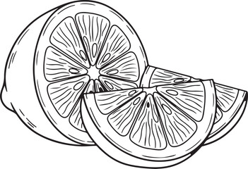 Obraz premium Hand Drawn Lemon Slice and Whole Fruit Line Art Illustration