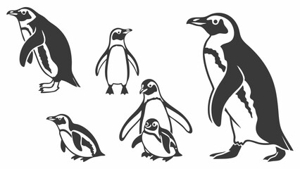 Obraz premium Penguin Family Variety Set Wildlife Illustration for Nature Education Zoo Web Design Projects