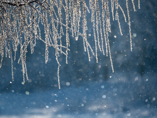 Obraz premium A tree with branches covered in ice and snow