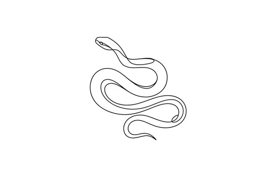Coiled Snake Minimalist Continuous Line Art Drawing