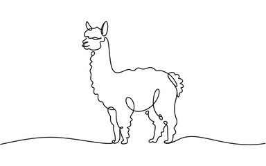 Fototapeta premium Cute Llama Continuous Line Art Illustration, South American Animal