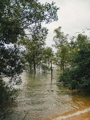 Peaceful yet delicate coastal environment with rippling waves