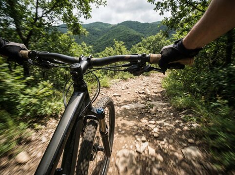 Point of View Mountain Bike Ride Along Forest Trail and Mountain Path