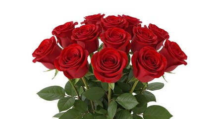 Fototapeta premium Bouquet of Red Roses Isolated on White Background, Romantic Symbol