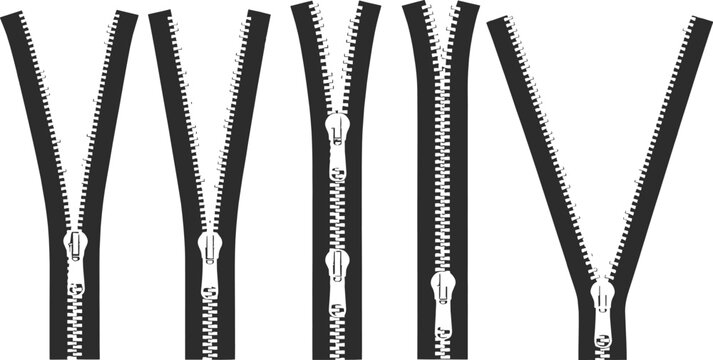 Multiple zippers in various open and closed states on a white background fastener clothing