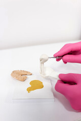 Dentist handling impression material for dental mold creation in clinical laboratory setting