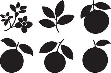 Obraz premium High-quality versatile vector graphic file for professional design projects and scaling