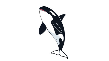 Obraz premium Black and White Illustration of Orca.